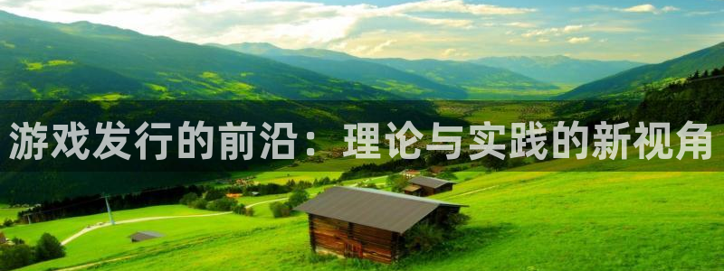亿万28官网客服电话是多少：游戏发行的前沿：理论与实践的新视角