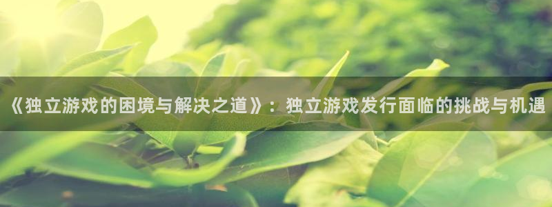 亿万28官网平台代理开号是真的吗：《独立游戏的困境与解决之道》：独立游戏发行面临的挑战与机遇