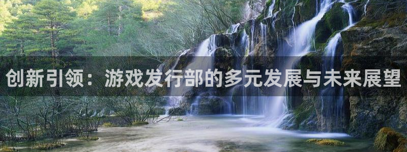 亿万28服装品牌：创新引领：游戏发行部的多元发展与未来展望