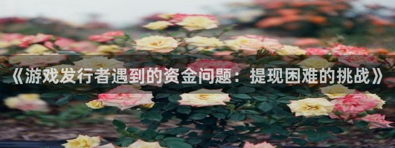 亿万28官网客服服务：《游戏发行者遇到的资金问题：提现困难的挑战》