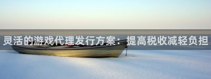 亿万28官网注册平台怎么注册的：灵活的游戏代理发行方案：提高税收减轻负担