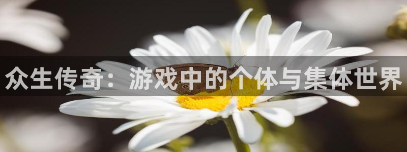 亿万28主管：众生传奇：游戏中的个体与集体世界