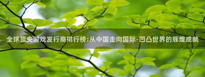 亿万28官网平台会黑款吗：全球顶尖游戏发行商排行榜:从中国走向国际-凹凸世界的辉煌成就