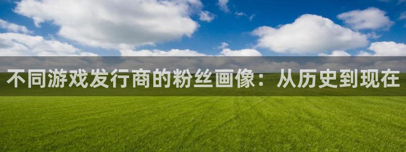 亿万28集团是什么企业：不同游戏发行商的粉丝画像：从历史到现在