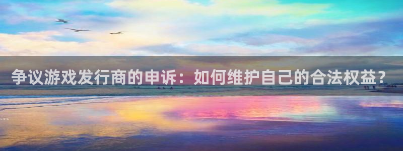 亿万28价格：争议游戏发行商的申诉：如何维护自己的合法权益？