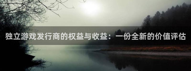 亿万28子图书：独立游戏发行商的权益与收益：一份全新的价值评估