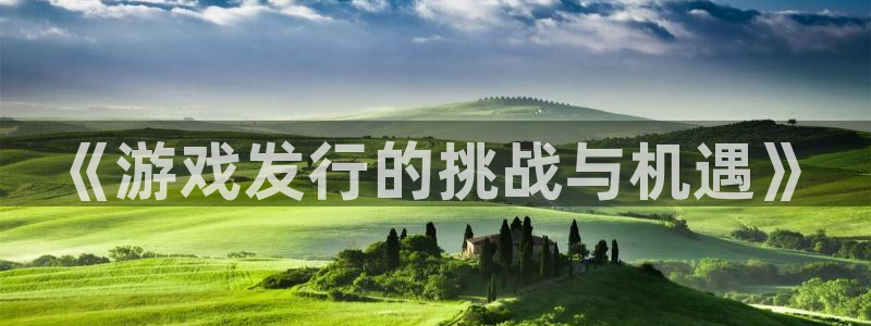 亿万28啤酒多少钱一箱：《游戏发行的挑战与机遇》