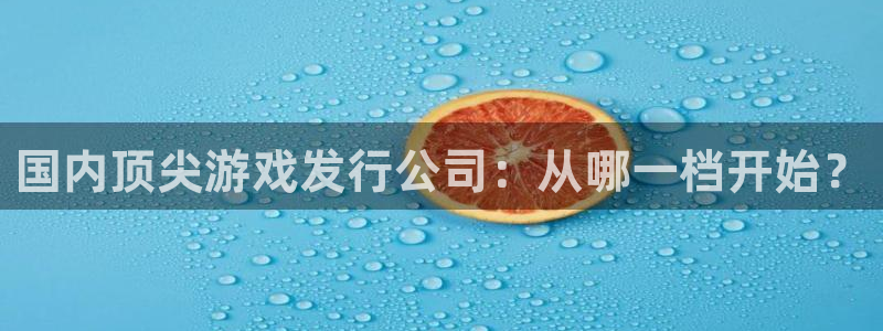亿万28官网登录注册不了账号：国内顶尖游戏发行公司：从哪一档开始？
