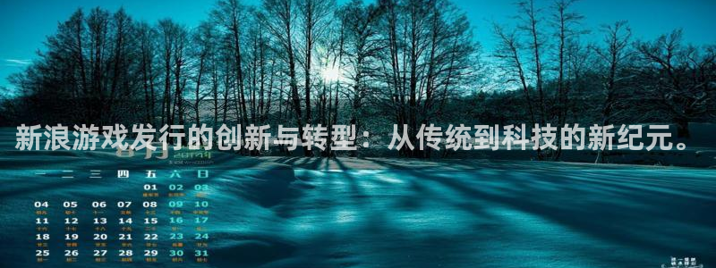 亿万28涂料怎么样：新浪游戏发行的创新与转型：从传统到科技的新纪元。