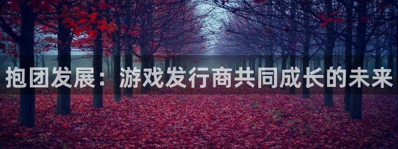 亿万28啤酒怎么样：抱团发展：游戏发行商共同成长的未来