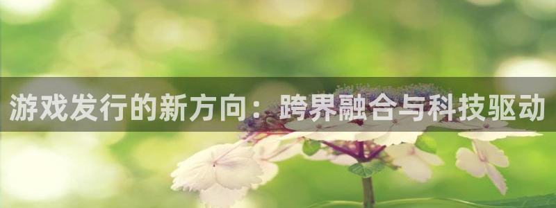 我要看亿万28：游戏发行的新方向：跨界融合与科技驱动