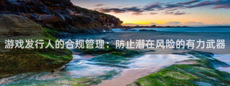 亿万28子集团：游戏发行人的合规管理：防止潜在风险的有力武器