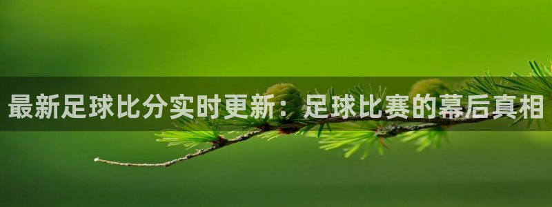 山猫体育直播免费五大联赛：最新足球比分实时更新：足球比赛的幕后真相