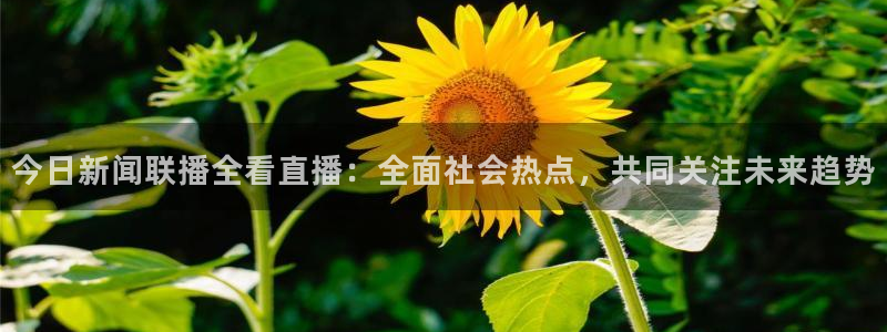 山猫足球体育直播：今日新闻联播全看直播：全面社会热点，共同关注未来趋势