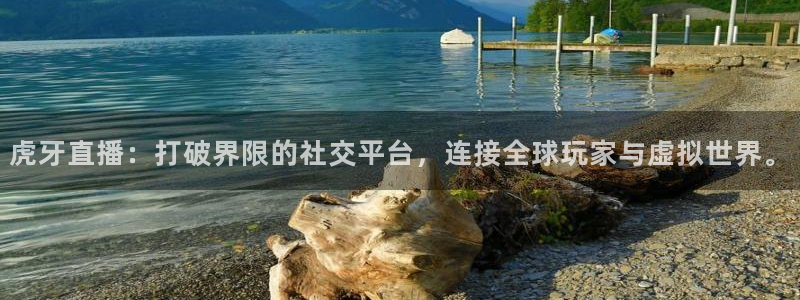 山猫篮球体育直播：虎牙直播：打破界限的社交平台，连接全球玩家与虚拟世界。