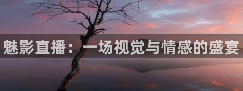 山猫足球直播在线直播观看：魅影直播：一场视觉与情感的盛宴