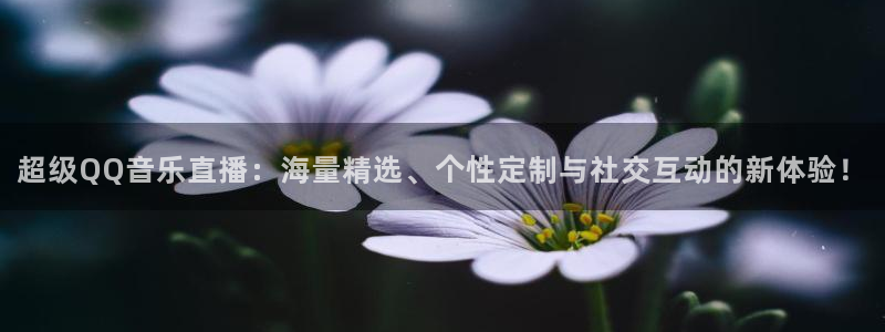山猫足球免费直播高清视频：超级QQ音乐直播：海量精选、个性定制与社交互动的新体验！