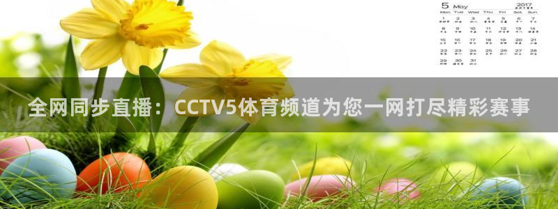 山猫直播足球免费直播：全网同步直播：CCTV5体育频道为您一网打尽精彩赛事