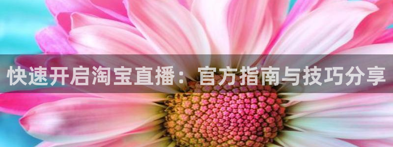 山猫足球直播雨燕直播：快速开启淘宝直播：官方指南与技巧分享