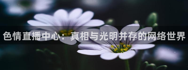 山猫体育赛事直播免费观看：色情直播中心：真相与光明并存的网络世界