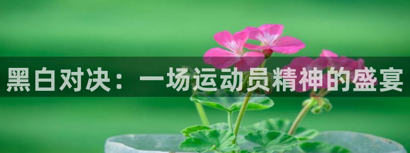 山猫直播体育篮球：黑白对决：一场运动员精神的盛宴