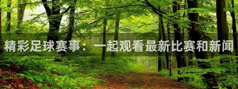 山猫体育赛事免费直播：精彩足球赛事：一起观看最新比赛和新闻
