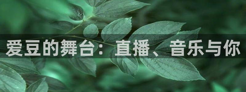 山猫在线足球直播：爱豆的舞台：直播、音乐与你