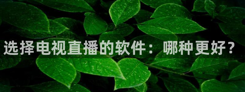 nba山猫体育直播：选择电视直播的软件：哪种更好？