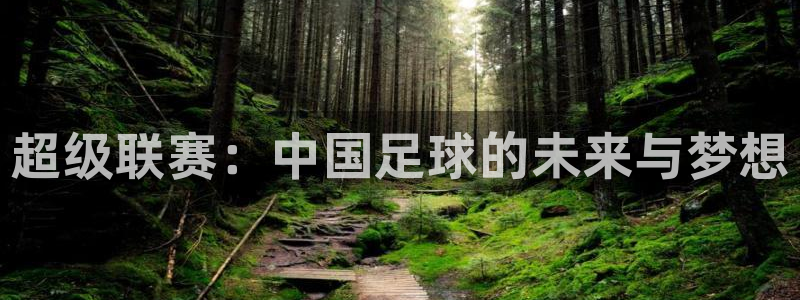 山猫体育直播平台：超级联赛：中国足球的未来与梦想