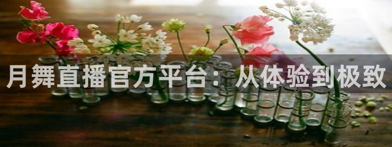 山猫足球直播在线观看免费：月舞直播官方平台：从体验到极致